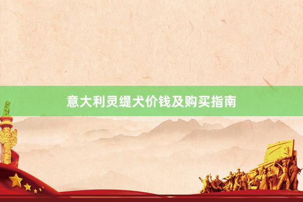 意大利灵缇犬价钱及购买指南