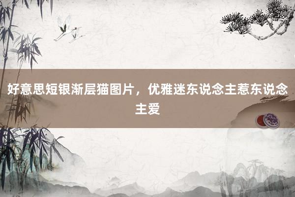 好意思短银渐层猫图片，优雅迷东说念主惹东说念主爱